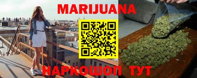 сатива Братск