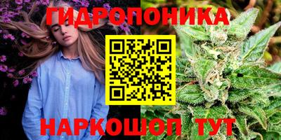 стафф Боровичи