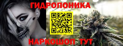 сатива Братск